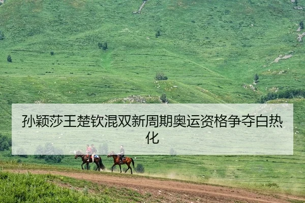 孙颖莎王楚钦混双新周期奥运资格争夺白热化