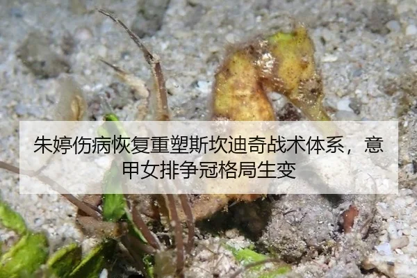 zhu-ting-shang-bing-hui-fu-zhong-su-si-kan-di-qi-zhan-shu-ti-xi-yi-jia-nv-pai-zheng-guan-ge-ju-sheng-bian-3-537.jpg