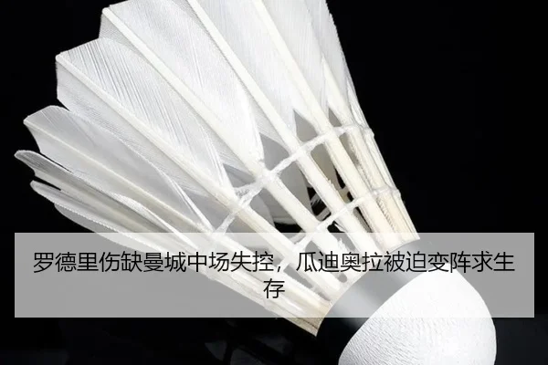 luo-de-li-shang-que-man-cheng-zhong-chang-shi-kong-gua-di-ao-la-bei-po-bian-zhen-qiu-sheng-cun-3-957.jpg