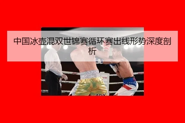 zhong-guo-bing-hu-hun-shuang-shi-jin-sai-xun-huan-sai-chu-xian-xing-shi-shen-du-pou-xi-3-291.jpg