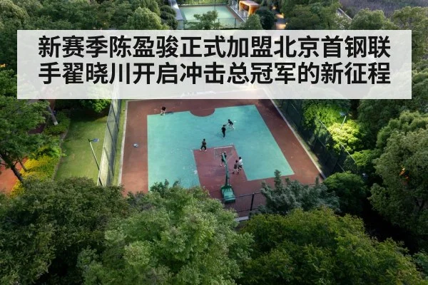 chinese basketball player