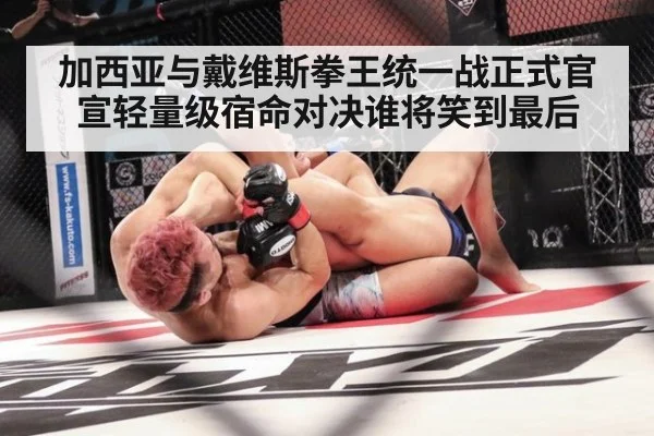 加西亚与戴维斯拳王统一战正式官宣轻量级宿命对决谁将笑到最后